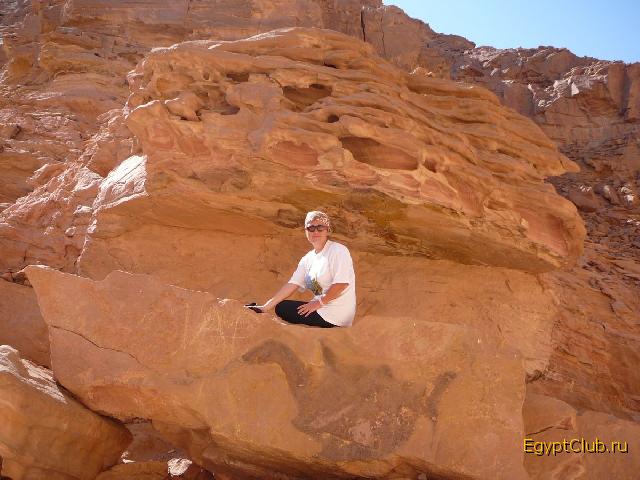 ������� ������