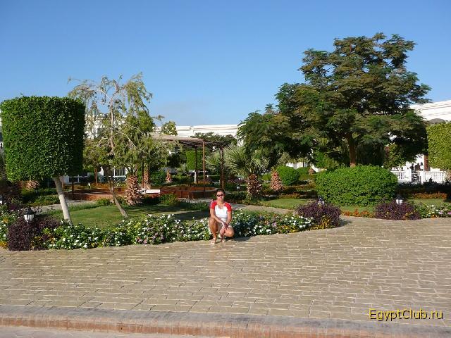 � ����� �����