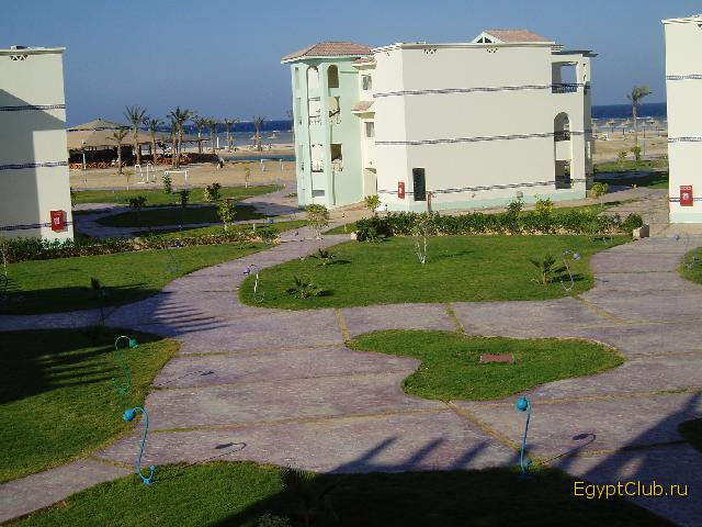 ����� ������ ������