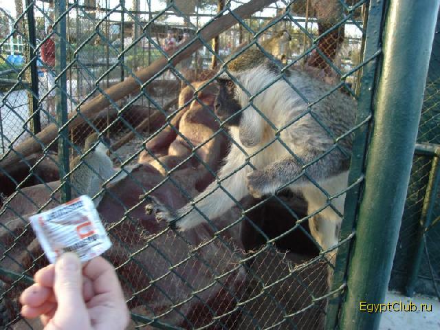 ���������������!