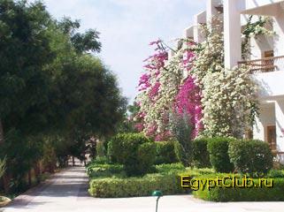 900 ������ 