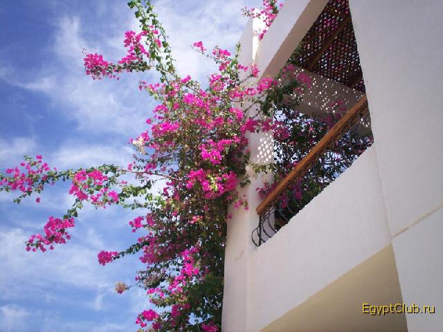 ��� ������� ����� ����� ������