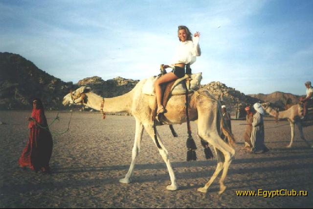 ��������� � ��������