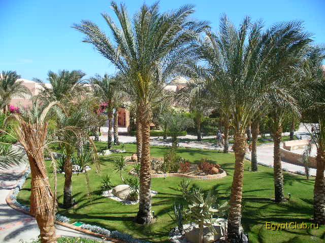 ��� � ������� ������