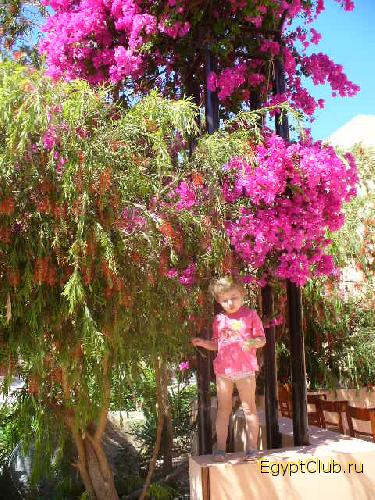 ���� � �����