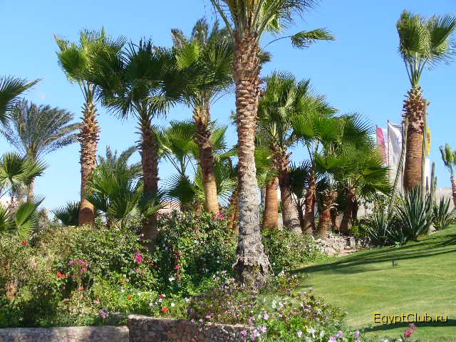 ������ � ����