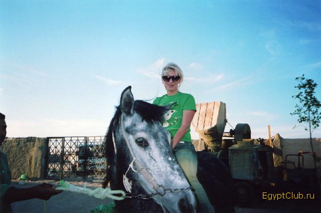 ������ � �� ������ �� ���������