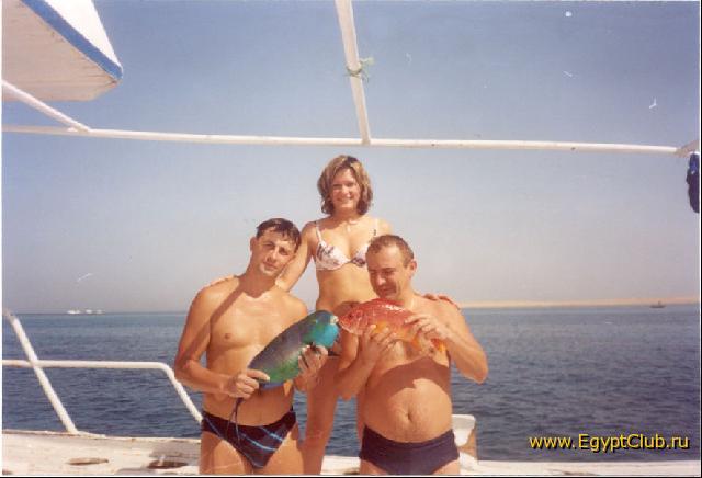 � ��� ������� ��: 