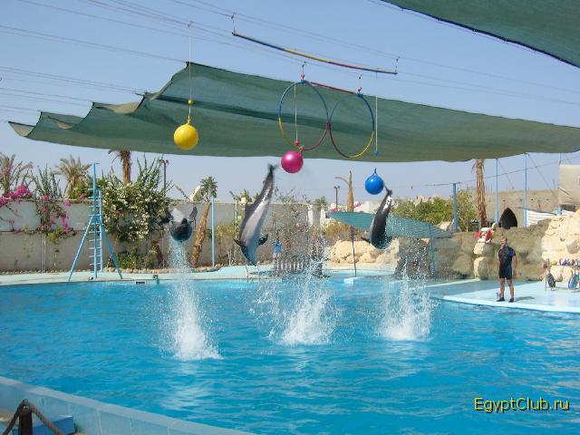 ����������� ��� �������� �����