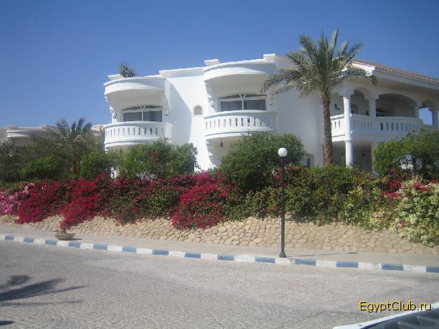  �������������� ���