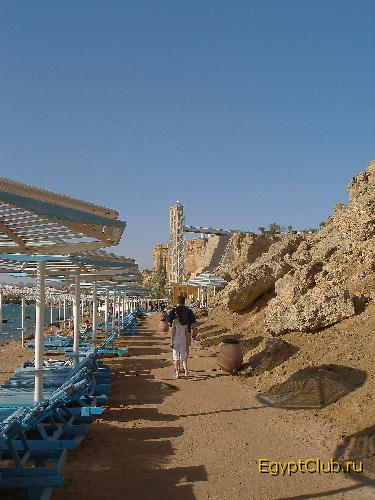 ��� ���������