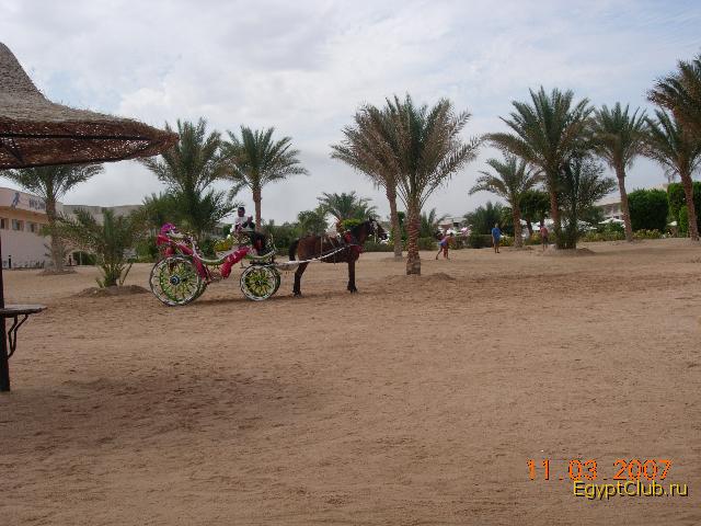 ������ �� �����