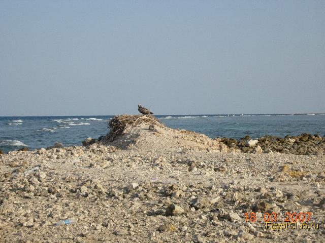 �����, ������� �� ���������� �����������