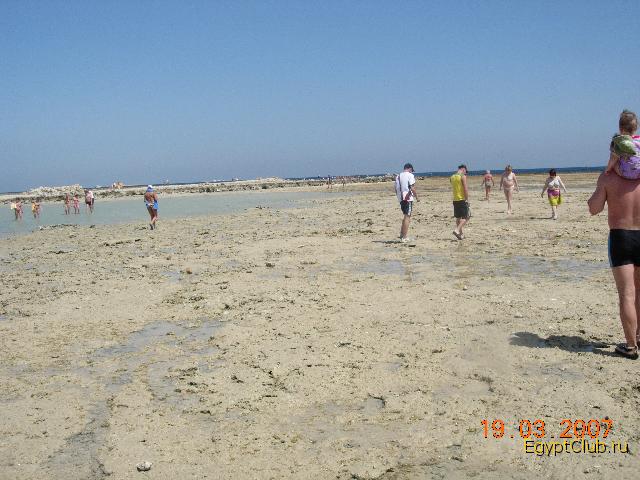 ����� ����� �� �������