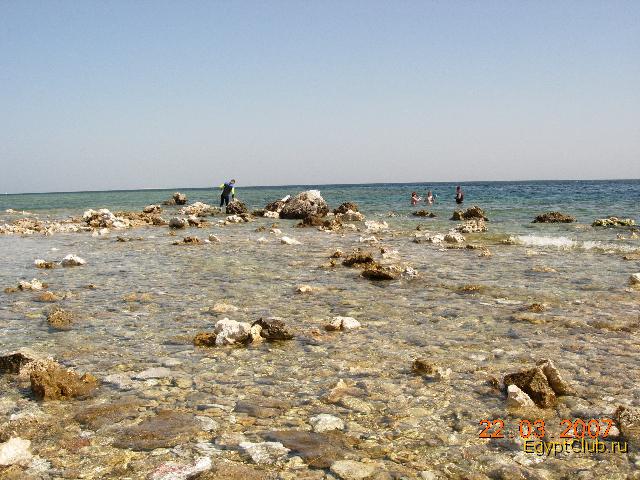 ���� �� �������