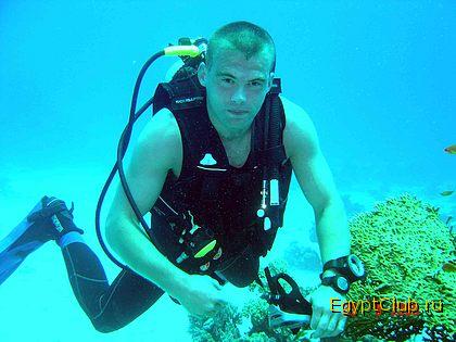 � ��� ����