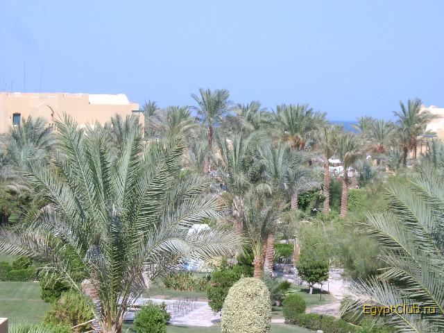 ��� �� ���