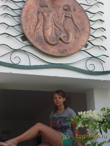 ������ ��������