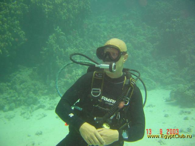 ������ �������