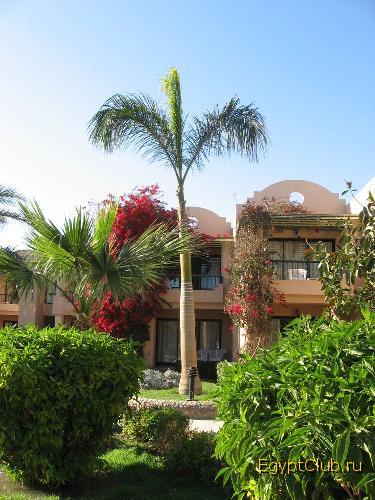 ��� ���� 