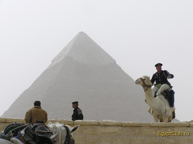 �� ������ �������