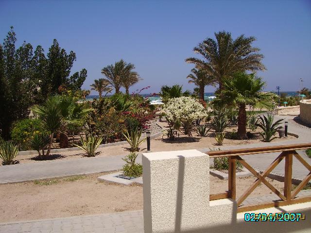 ��� �� ����