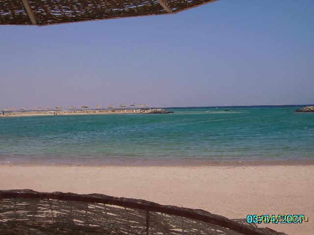 ���� �� ���� �����