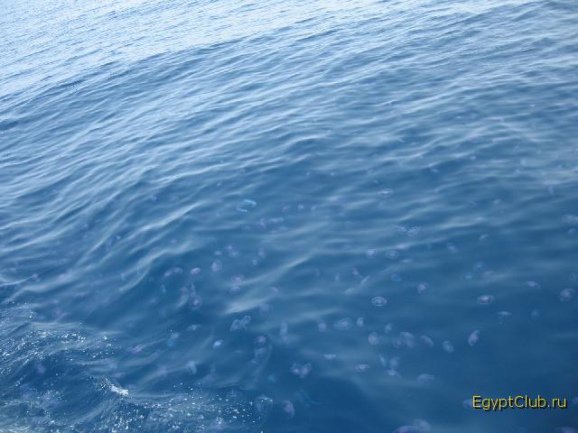 ��-��-��