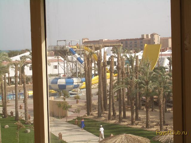 ������ ���� ����-�����