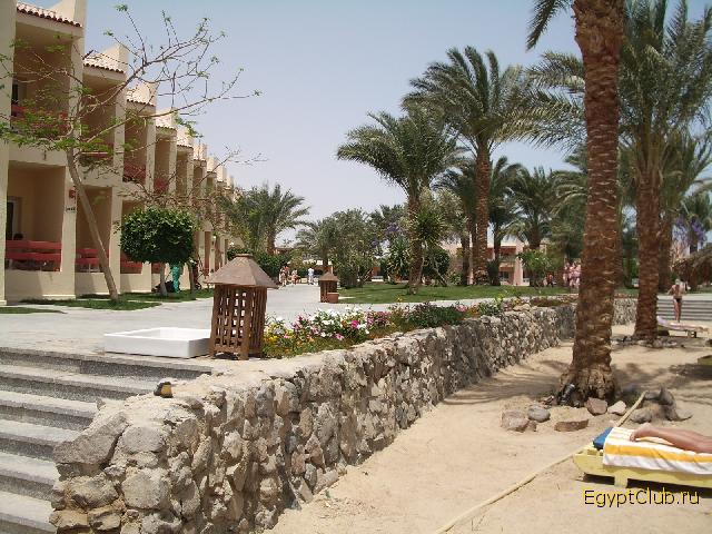 ����������-������ ��� ������ 2007