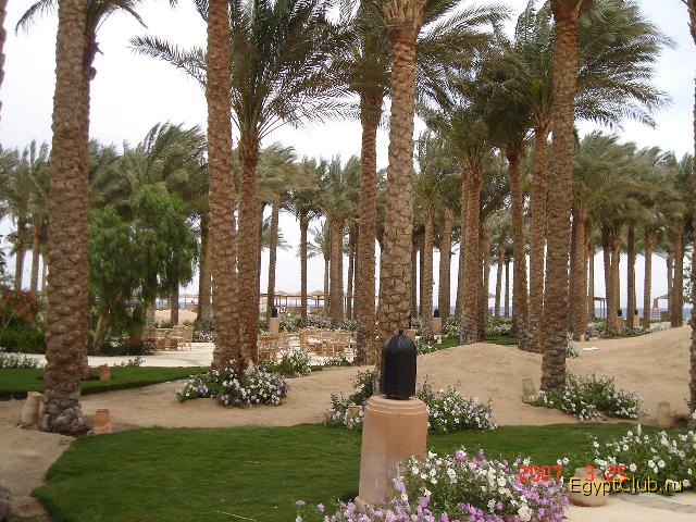 ����� ������ 