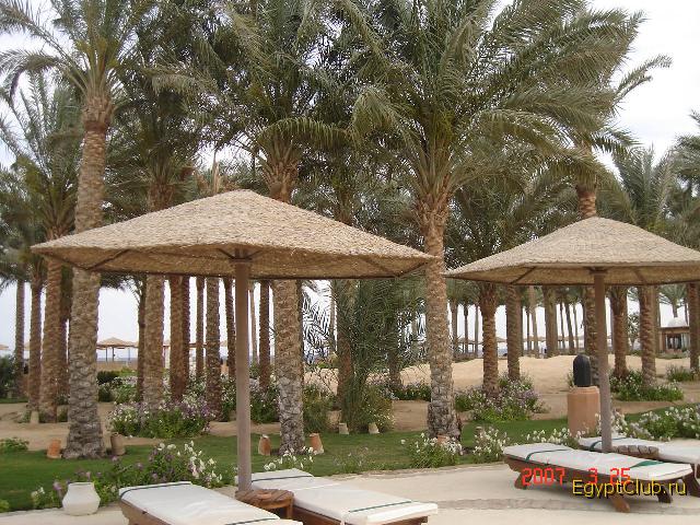 ����� ������ 