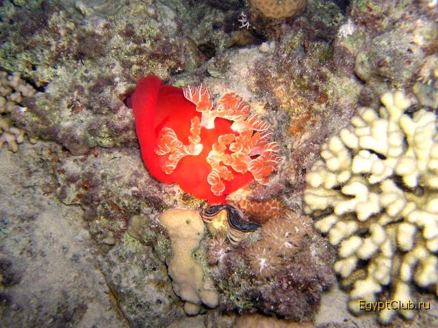 ��������� ������