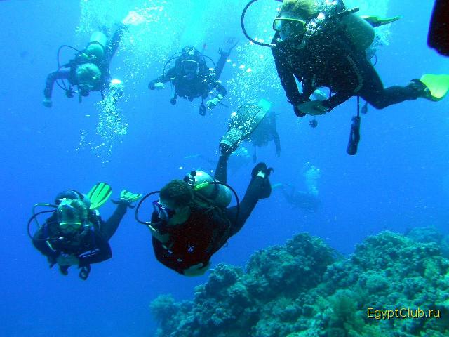 ��� ����� ������ ��������� ...