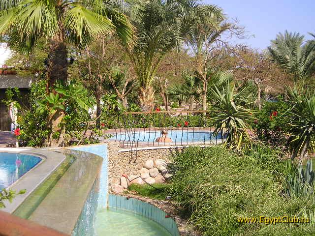 ������ �������