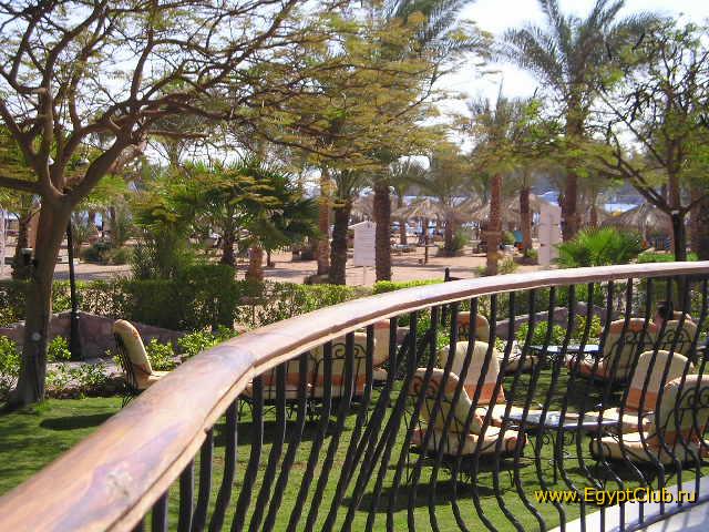 ������ �������