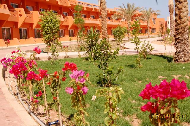 ��� �� ������