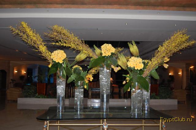 ����� �� �������