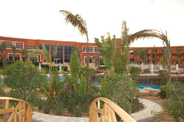 ���� ����� �� ����� ��������)