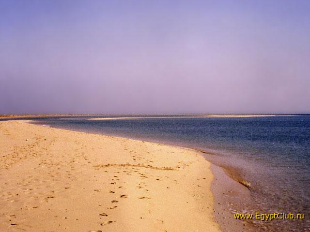 2. �������� ���� ������ ����� Royal Zaafarana