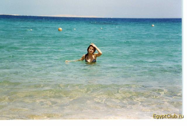 ������ �