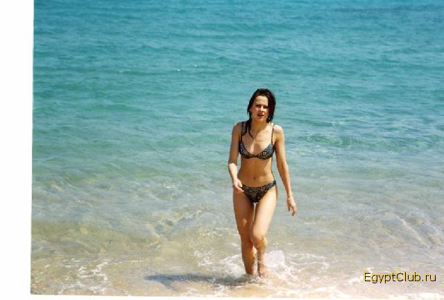 ������ �