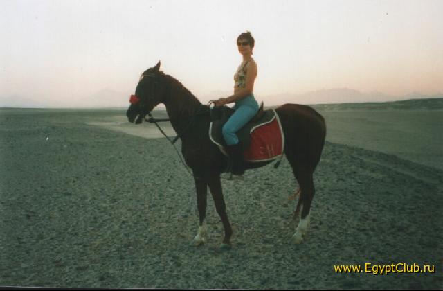 ������ �� �������