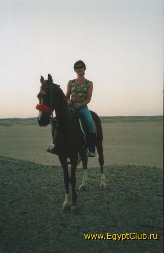 � �������� ������� �������� ������. �������. �������.