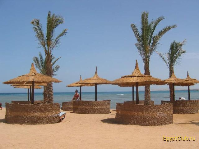 ���� ����� Albatros Resort