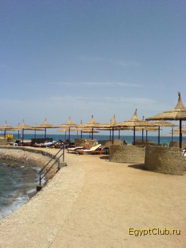 ���� ����� Beach Albatros