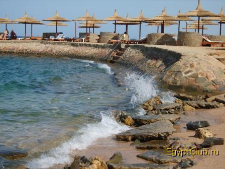 ���� Beach Albatros