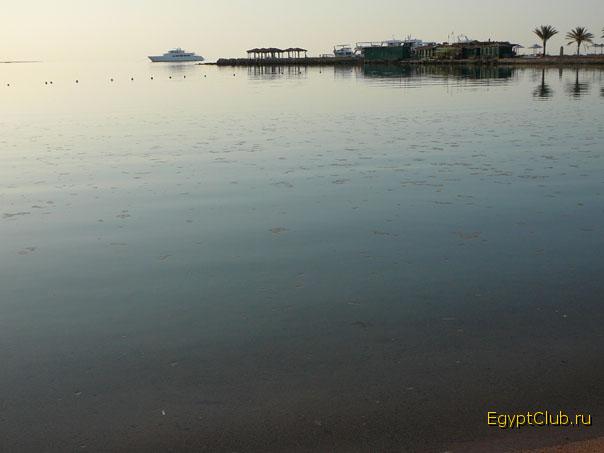 ����� ����������������� �������