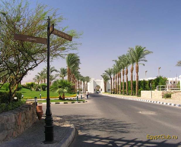 Crowne Plaza - ������� ������