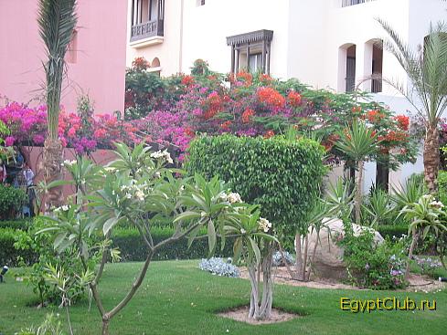 ���������� �����